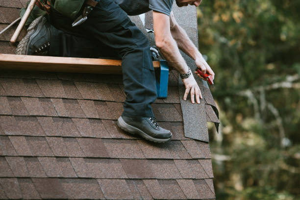 Best Roof Maintenance and Cleaning  in Bristol, IN